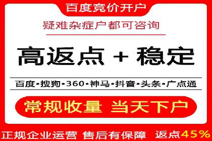 SEO与SEM融合策略：成功案例解析